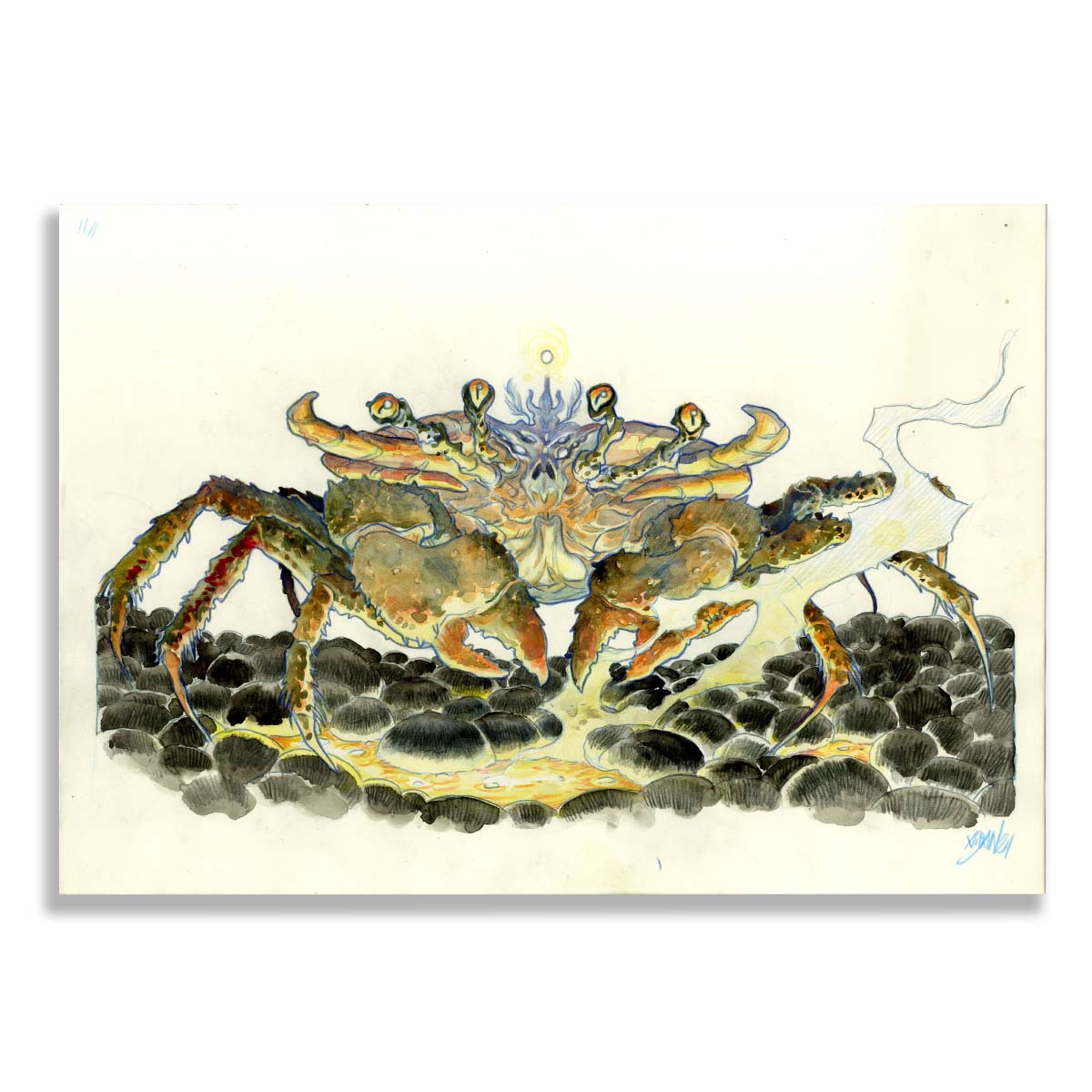 Illustration originale A.Dan, Crabe des laves